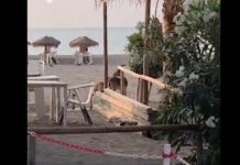 Spektakulärer Ziegenbesuch am Strand von Málaga: Wilde Tiere erobern die Küste