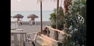 Spektakulärer Ziegenbesuch am Strand von Málaga: Wilde Tiere erobern die Küste