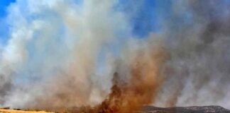 Brand in Ciudad Real legt AVE-Verkehr Madrid-Andalusien lahm
