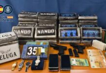 Drogenring in Valencia Zerschlagen: 22 Festnahmen bei Großrazzia