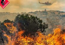 Spanien brennt: Waldbrände 2025 übertreffen Vorjahr – Hitze, Wind & Brandstifter als tödliche Mischung