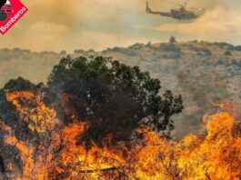 Spanien brennt: Waldbrände 2025 übertreffen Vorjahr – Hitze, Wind & Brandstifter als tödliche Mischung