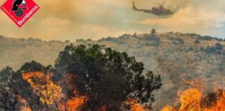 Spanien brennt: Waldbrände 2025 übertreffen Vorjahr – Hitze, Wind & Brandstifter als tödliche Mischung
