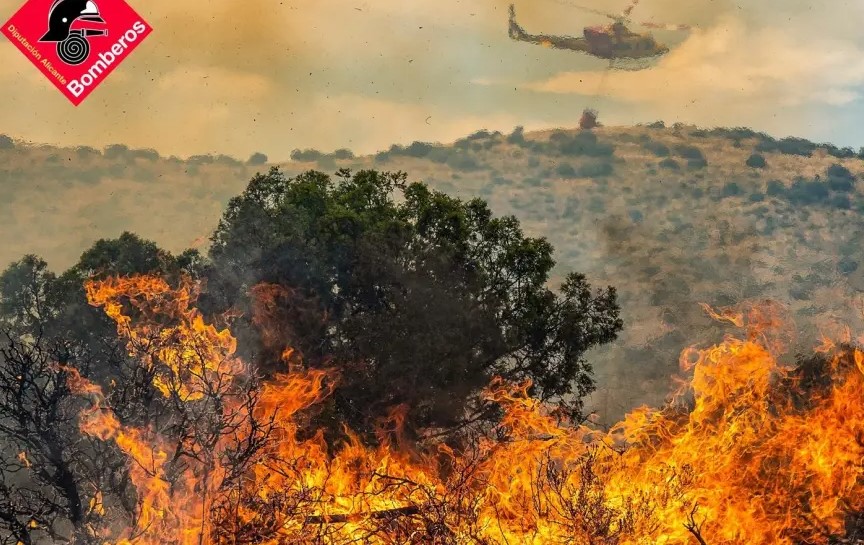 Spanien brennt: Waldbrände 2025 übertreffen Vorjahr – Hitze, Wind & Brandstifter als tödliche Mischung
