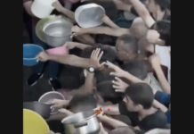 Spanien sendet 12 Tonnen Lebensmittel nach Gaza: Ein Tropfen gegen die Hungersnot