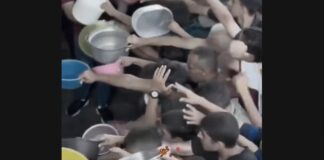 Spanien sendet 12 Tonnen Lebensmittel nach Gaza: Ein Tropfen gegen die Hungersnot
