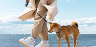 Der Fünf-Sekunden-Test: Lebensrettende Tipps für Hundebesitzer im heißen Spanien