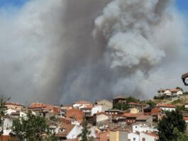 Navaluenga Feuer