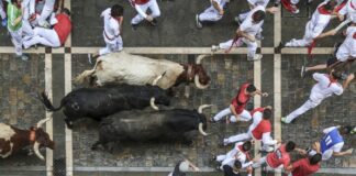 San Fermín 2025: Pamplona im Ausnahmezustand – Mythos, Mut und Tradition