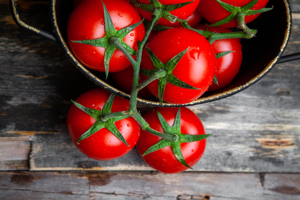 Das Drama der spanischen Tomate: Exporteinbruch trifft auf Marokkos Importboom