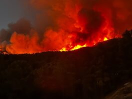 Dramatische Waldbrände in Extremadura und Ávila – Hunderte Evakuierte und "extreme Risikosituation"
