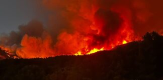 Dramatische Waldbrände in Extremadura und Ávila – Hunderte Evakuierte und "extreme Risikosituation"