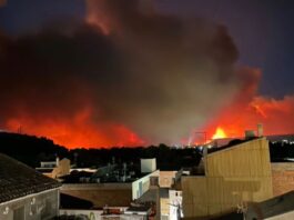 Waldbrand in Tarragona außer Kontrolle: Militär im Einsatz, Tausende Hektar zerstört