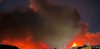 Waldbrand in Tarragona außer Kontrolle: Militär im Einsatz, Tausende Hektar zerstört
