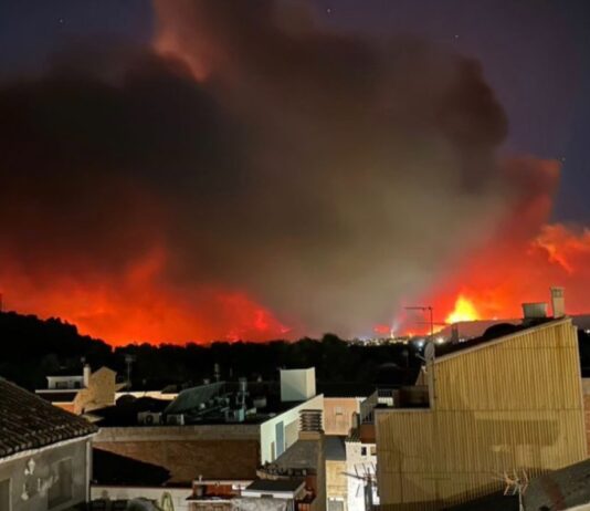 Waldbrand in Tarragona außer Kontrolle: Militär im Einsatz, Tausende Hektar zerstört