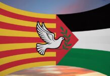 Barcelona ernennt Gaza und Palästina zum 11. Bezirk der Stadt