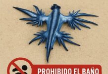 Blaue Drachen an der Costa Blanca: Strände in Guardamar del Segura gesperrt