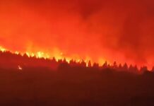 Inferno in León: Feuerwehrleute am Rande der Verzweiflung im Kampf gegen unkontrollierte Waldbrände