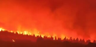 Inferno in León: Feuerwehrleute am Rande der Verzweiflung im Kampf gegen unkontrollierte Waldbrände