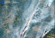 Copernicus-Satelliten zeigen das erschreckende Ausmaß der Brände in Spanien
