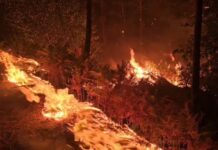Entwicklung der Brände in Spanien: Ein Land zwischen Flammen und politischer Eiszeit