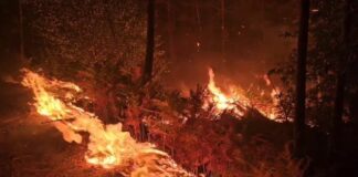 Entwicklung der Brände in Spanien: Ein Land zwischen Flammen und politischer Eiszeit