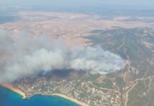 Neuer Großbrand in Tarifa: Flammen bedrohen Bolonia und Atlanterra – Häuser geräumt
