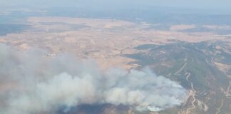 Neuer Großbrand in Tarifa: Flammen bedrohen Bolonia und Atlanterra – Häuser geräumt