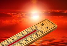 Die schockierende Bilanz der Hitze: Über 1.100 Todesopfer allein im August laut Spanischen Gesundheitsinstitut Carlos III