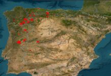 Die aktuelle Lage: Wo brennt es in Spanien? Hier finden Sie die Interaktive Karte aller aktiven Waldbrände