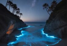 Naturspektakel in Spanien: Die besten Orte für leuchtende Wellen
