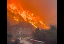 Spanien in Flammen: Rekordfläche von 350.000 Hektar im Jahr 2025 bereits verbrannt