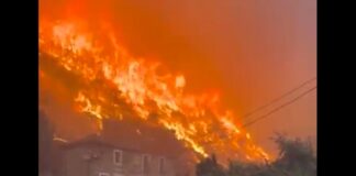 Spanien in Flammen: Rekordfläche von 350.000 Hektar im Jahr 2025 bereits verbrannt