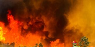 Spaniens Feuerdrama: Vierzehn Großbrände wüten weiter – Sorge um Sanabria wächst