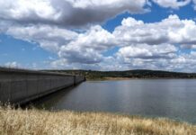 Alcollarín Stausee: Eine von Menschenhand geschaffene Katastrophe – Tausende tote Fische und ein Ökosystem am Abgrund