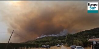 Waldbrände in Spanien: Tausende in Tarifa evakuiert, Feuer in Galicien wütet weiter