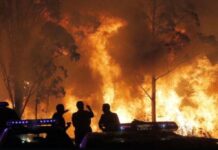 Waldbrände in Spanien: Sechs große Waldbrände wüten in León, Zamora und Galicien