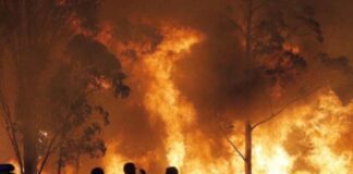 Waldbrände in Spanien: Sechs große Waldbrände wüten in León, Zamora und Galicien