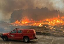 Waldbrände in Spanien: Drei Tote und über 116.000 Hektar Land zerstört