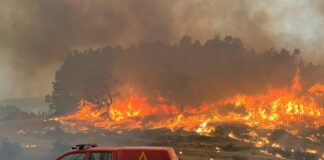 Waldbrände in Spanien: Drei Tote und über 116.000 Hektar Land zerstört