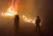 Waldbrände in Spanien: Mit dem Tod eines Feuerwehrmanns in León steigt die Zahl der Todesopfer bei Bränden auf vier