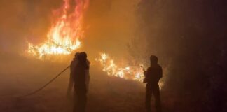 Waldbrände in Spanien: Mit dem Tod eines Feuerwehrmanns in León steigt die Zahl der Todesopfer bei Bränden auf vier