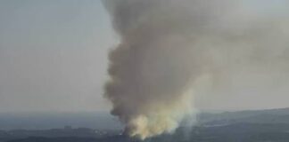 Spaniens Kampf gegen die Flammen: Waldbrände wüten in Galicien und Granada