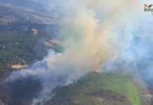 Waldbrand in Albacete: 600 Menschen in Ferienorten eingeschlossen