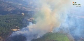 Waldbrand in Albacete: 600 Menschen in Ferienorten eingeschlossen