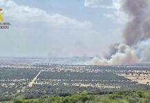 Waldbrand durch defekte Photovoltaikanlage: Ermittlungen in Casas de Don Pedro bestätigen Ursache
