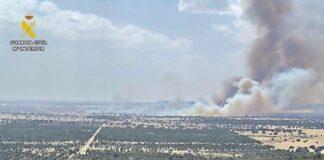 Waldbrand durch defekte Photovoltaikanlage: Ermittlungen in Casas de Don Pedro bestätigen Ursache