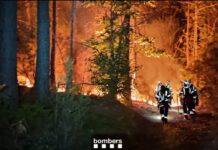 Katastrophenlage in Spanien: Waldbrände außer Kontrolle – Zamora am stärksten betroffen